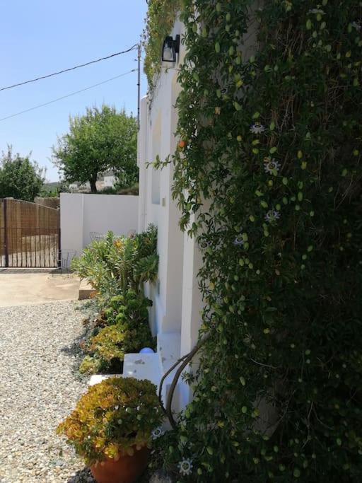 Casa Jardin. Vivienda Rural En Zona Tranquila. Villa Lucainena de las Torres Ngoại thất bức ảnh