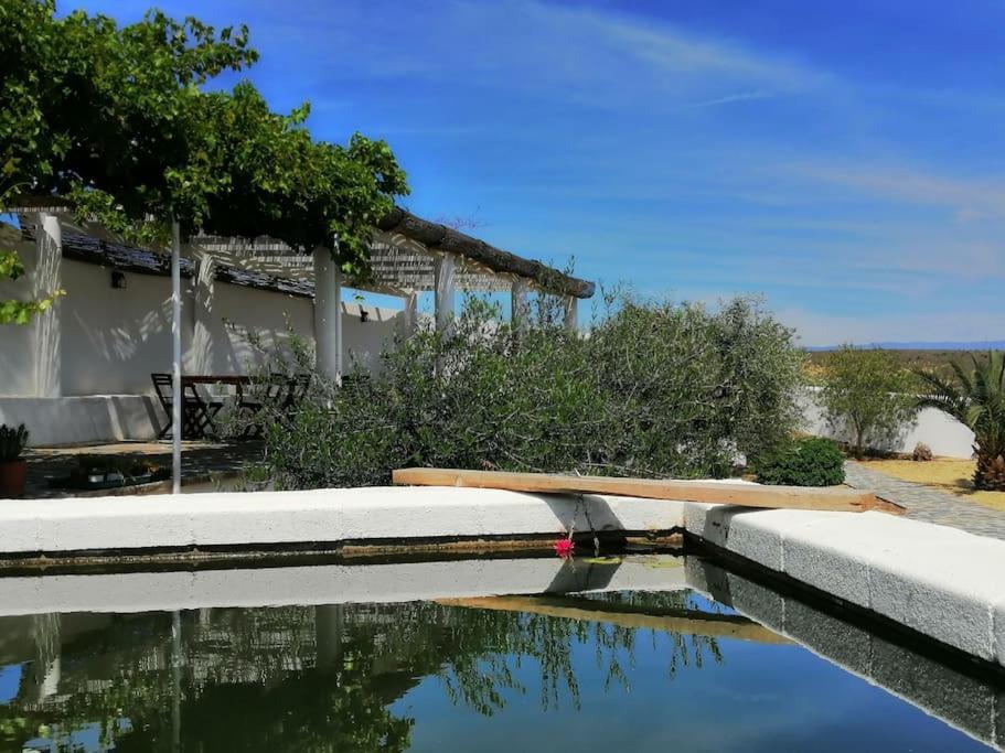 Casa Jardin. Vivienda Rural En Zona Tranquila. Villa Lucainena de las Torres Ngoại thất bức ảnh